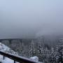 Schnee und Nebel am Mount St.Helens - leider nichts gesehen...